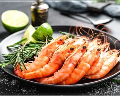 طرح صادرات میگو به چین