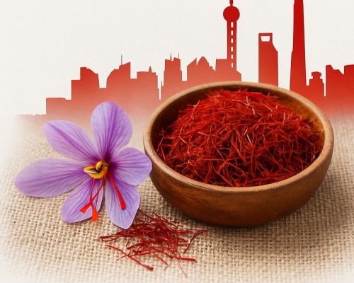 WhatsApp Image 2025-07-23 at 11.44.43_4a2d2927